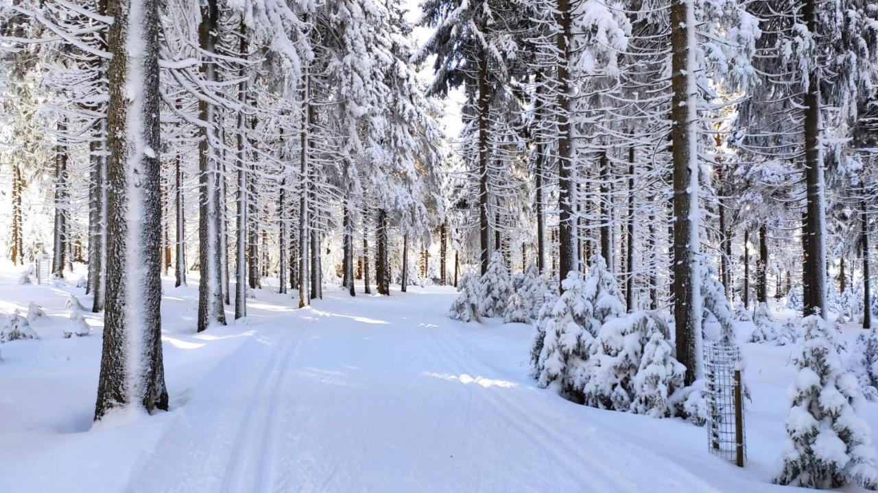 Apartmány U Muzea Horní Blatná Esterno foto